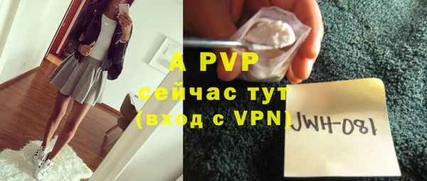 амф Протвино