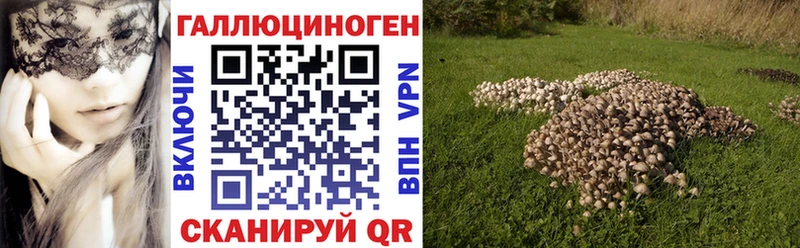 Галлюциногенные грибы Cubensis  omg ссылки  Суздаль 